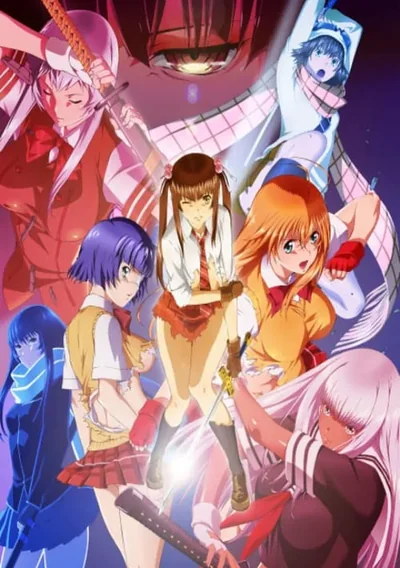 Shin Ikki Tousen Anime Poster