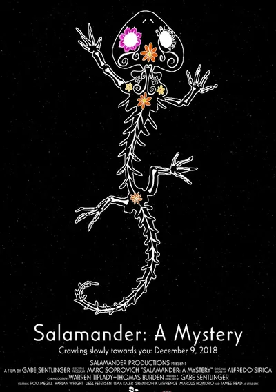 Salamander: A Mystery Anime Poster